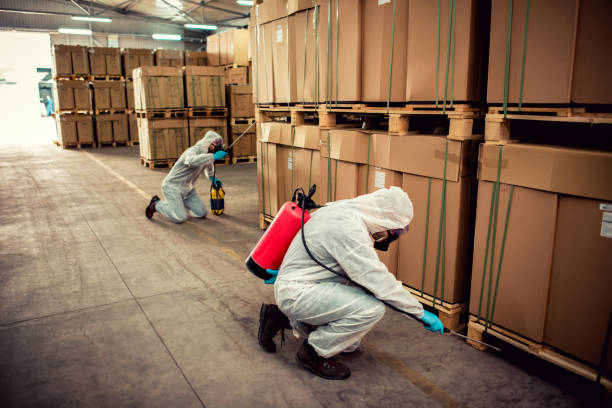 Best Termite Control Services  in Vauxhall, NJ
