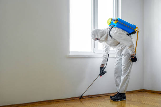 Best Pest Inspection Near Me  in Vauxhall, NJ