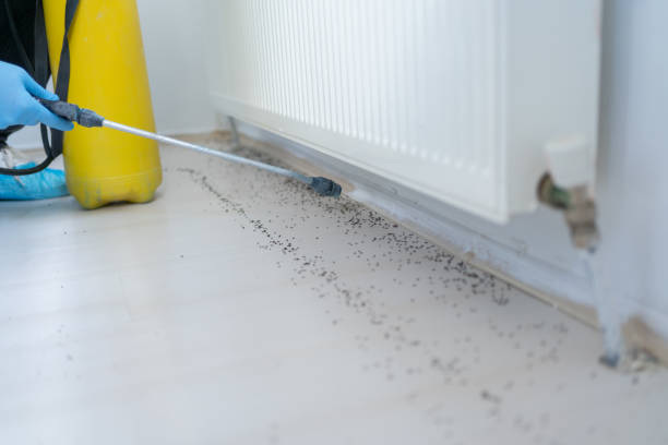 Pest Control Cost in Vauxhall, NJ